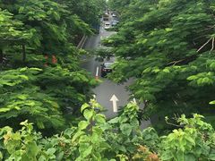 -云溪植物园