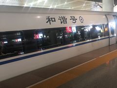 高铁-西安北站(地铁站)