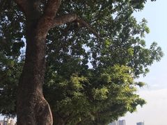 -阪尚皇·原切牛排·烤肉火锅自助(北京路店)