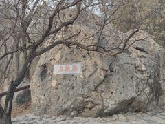 -阳台山自然风景区