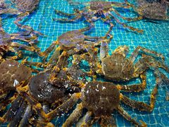 -驻海渔市(置信店)