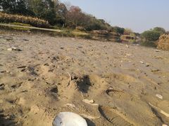 -艾溪湖湿地公园