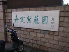 -嘉定紫藤园