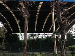 -东坡羽毛球馆(东坡南一路店)