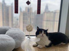 -Catmate·猫肥家润(金润铂宫店)