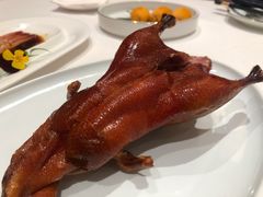 -东富酒家(龙湖西溪天街店)