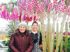 兰陵国家农业公园-兰陵国家农业公园