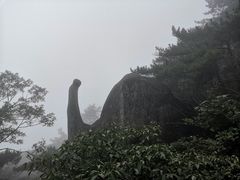 -天柱山风景区