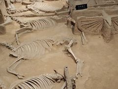 -洛阳周王城天子驾六博物馆