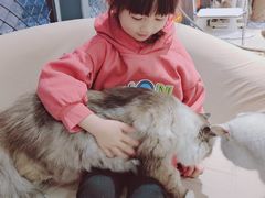 -怪兽屋·羊驼·猫咖·狗咖(俊华广场店)