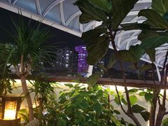 -润园四季椰子鸡火锅(海上世界店)
