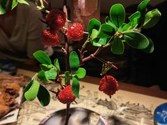 红尘妃子笑-遇见长安之高山流水(李家村万达店)