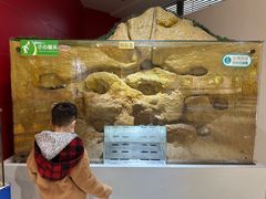 -上海昆虫博物馆