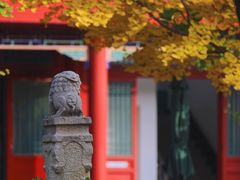 -北京石刻艺术博物馆(五塔寺)