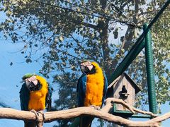 -西霞口神雕山野生动物世界