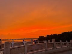 -宝安西湾红树林湿地公园