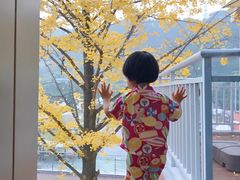 -重庆南山海昌汤都