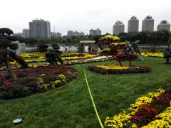 -廊坊文化艺术中心