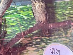 -上海昆虫博物馆