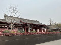 -唐御宴•御宴宫•唐代菜点(芙蓉西路店)