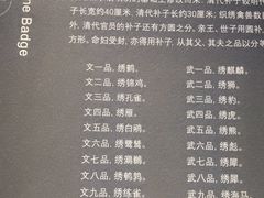 -四川大学博物馆