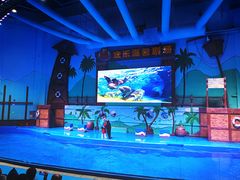 -石家庄极地海洋世界
