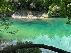-石台牯牛降景区