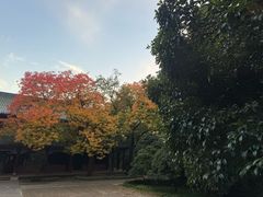 -灵谷景区