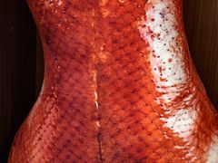 -竺桥兄弟烤鸭馆(竺桥店)