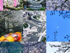 -杭州少年儿童公园