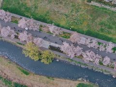 -长田漾湿地公园