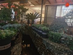-山菌美食苑(振兴路店)