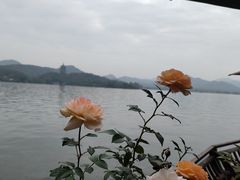 -柳莺湖上·湖景餐厅·江南菜(西湖店)