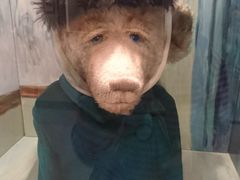 -济州岛泰迪熊博物馆