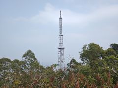 -水濂山森林公园