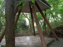-九曜山