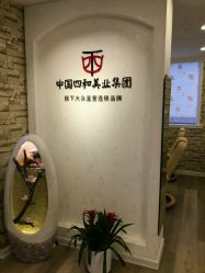 点击看大图 -西施无菌半永久纹绣眉眼影唇轻增发纹发际线