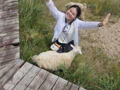 -呼和诺尔旅游景区