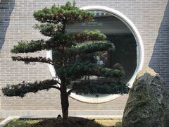 -菊园百果园