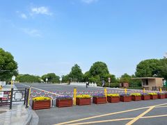 -羊山湖公园