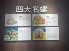 -贝壳王国博物馆