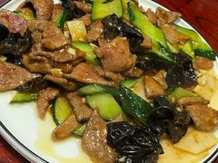-邵年鸽(杨庄店)