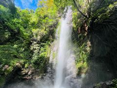 -莫里热带雨林景区