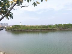 -五缘湾湿地公园