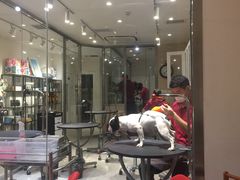 -宠物家(双井店)
