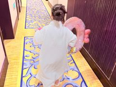 -苏州香格里拉大酒店