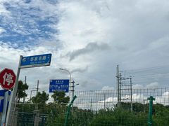 -南汇水蜜桃采摘(大团店)