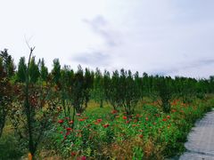 -东郊湿地公园