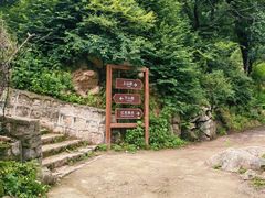 -大岭沟猕猴桃谷风景区
