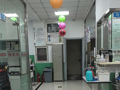 -利又安动物医院··老年病·猫科犬科·中兽医